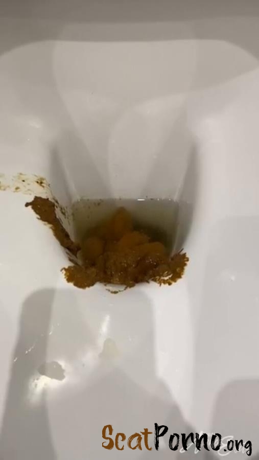 A big pile of shit in the toilet. P1