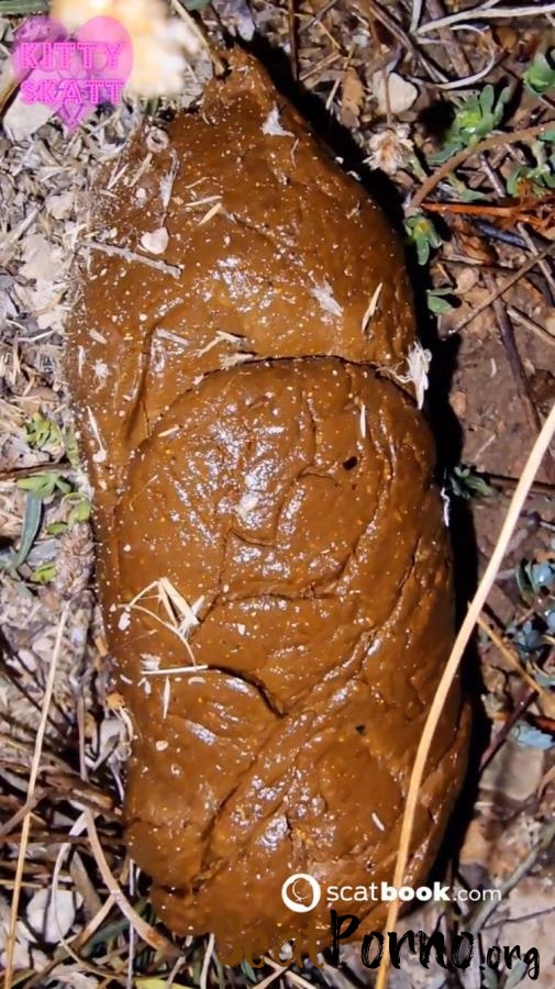 Open Field Outdoor Poo on Festival. P1