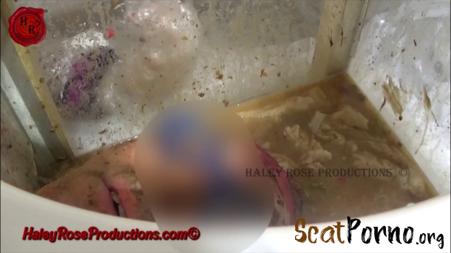 Haley Rose Productions - 12 Hours Locked in Toilet Box Part 2