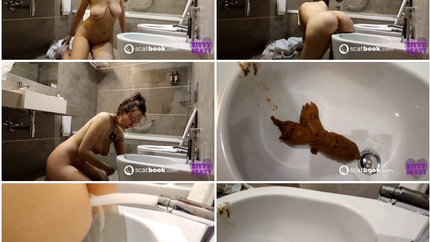 Toilet poop Huge dump in bidet soiling the fancy hotel further. P1