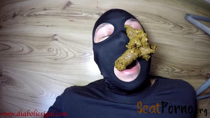 janet - Shit Dinner For My Toilet