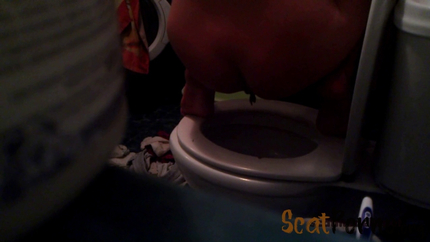 ScatModels Toilets near me P1