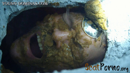 Now you are officially a Toilet Part 2