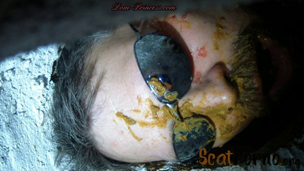 Scatmania Now You Are Officially A Toilet Part 8 Andrea Hd