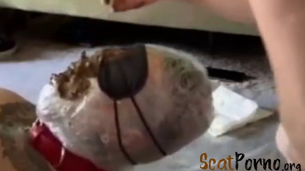 Portapottyqueen – Masters toilet choked on his massive shit