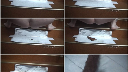 Poop log on a napkin P1