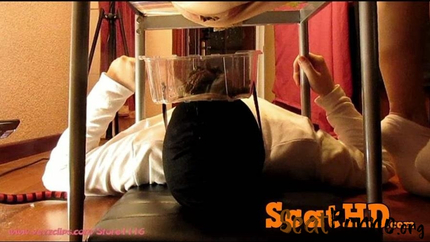 4 Scat Girls - Diferent view ( 4 Girls Shit on Slave ) [FullHD]