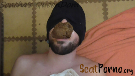 Scatmania S Q D - Pay For My Shit, Loser