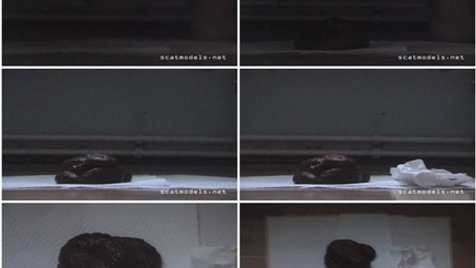 Poop on napkins. P1