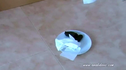 Ana Didovic - Nice Plating