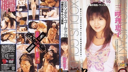 Ria Ou - [DWS-10] Misaki Rieko Exodus Gold 10