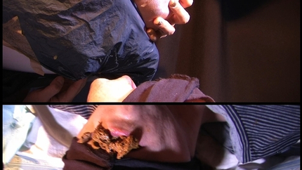 Mistress Diana - Takes a dump in her slaves mouth