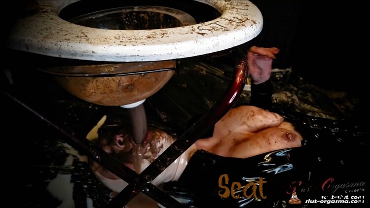 SlutOrgasma - Extreme shit and puke swallowing toilet slave