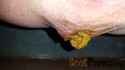 AnnaCoprofield - Outdoor Village Toilet - 5 Shit Compilation