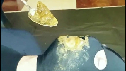 Rosellaextrem - Shit, Facesitting, Spit And Pee For Slave! Part 3