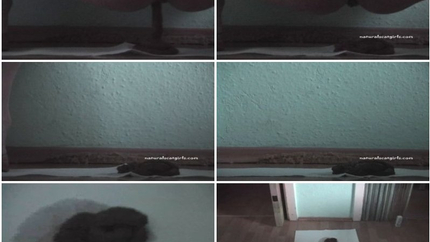 Shit under the door. P1