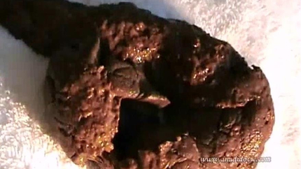 Ana Didovic - In Da Bed