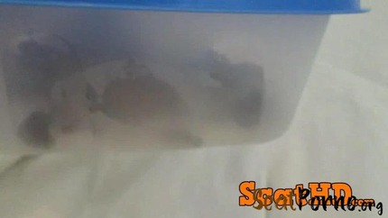 Scat Circle - Lady Bardot, part 2