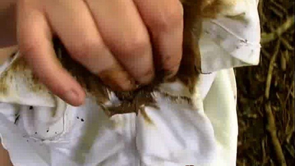 Anastasia - Extreme Shitting In My White Pants