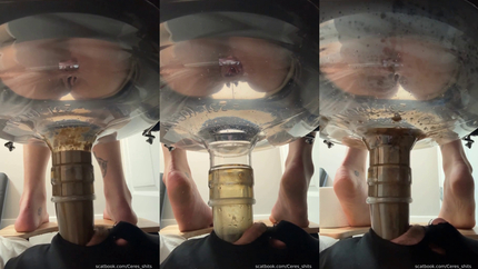 24 Minutes of Daily Toilet Slave Destruction P1