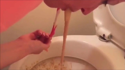 THE TOILET PURGE..