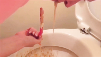 THE TOILET PURGE..