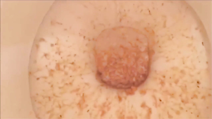 BELLY SHOWN AND PURGE IN THE TOILET..