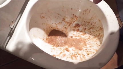 HUGE PURGE OUT THE TOILET..