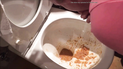 HUGE PURGE OUT THE TOILET..