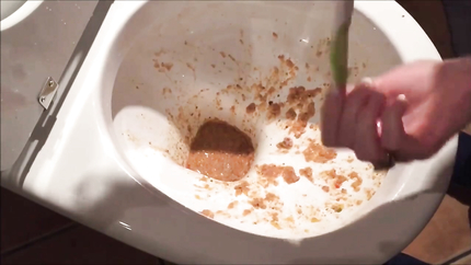 HUGE PURGE OUT THE TOILET..