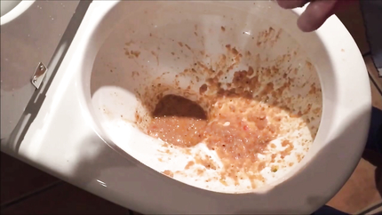 HUGE PURGE OUT THE TOILET..