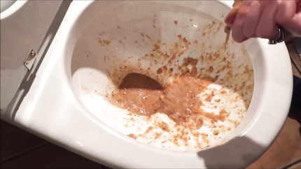 HUGE PURGE OUT THE TOILET..
