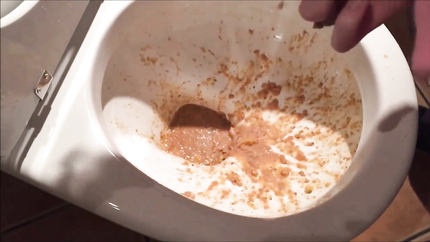 HUGE PURGE OUT THE TOILET..