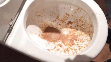 HUGE PURGE OUT THE TOILET..