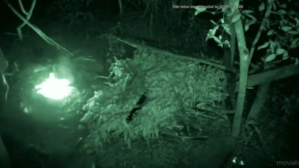 NAKED NAUSEOUS WOMAN VOMITING IN NAKED AND AFRAID