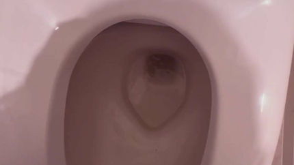 VOMIT IN TOILET - VIDEO 2