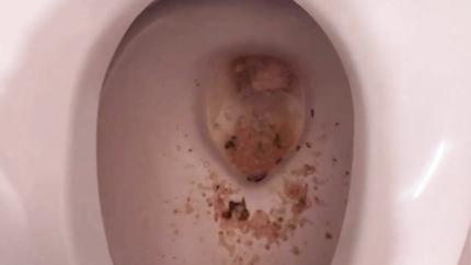 VOMIT IN TOILET - VIDEO 2