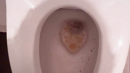 VOMIT IN TOILET - VIDEO 2