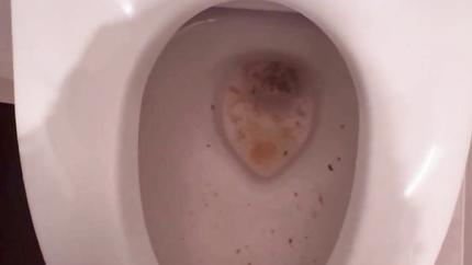 VOMIT IN TOILET - VIDEO 2