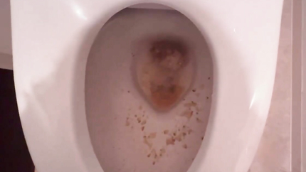 VOMIT IN TOILET - VIDEO 2