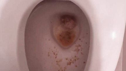 VOMIT IN TOILET - VIDEO 2