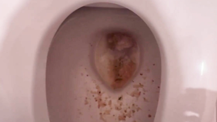 VOMIT IN TOILET - VIDEO 2