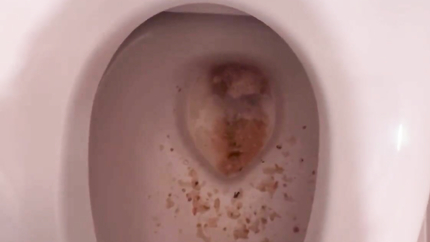 VOMIT IN TOILET - VIDEO 2