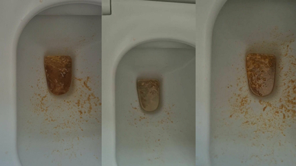 PUKING IN THE TOILET - VIDEO 3