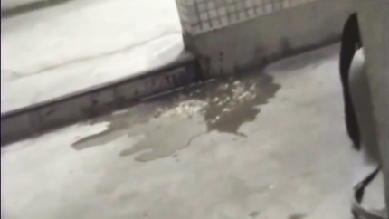 ... GIRL VOMIT