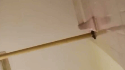 WOMAN VOMITS ON LIVE SOUND ONLY