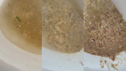 VOMITING ON TOILET P2