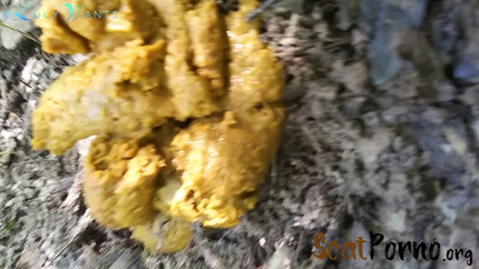 goddesslucy - Orangish Logs in the Woods