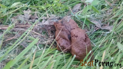 Suck dick in the shit in natur with Brown wife