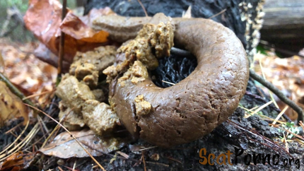 goddesslucy - 4k Huge Snaky Shit Outdoors